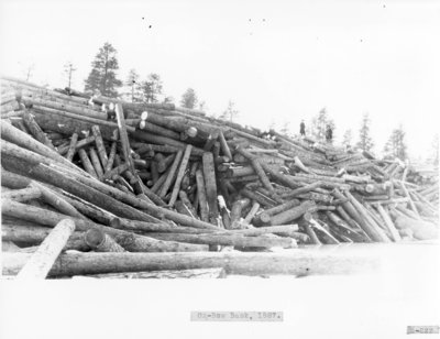 Ox-Bow Log Banks on Thunder Bay River