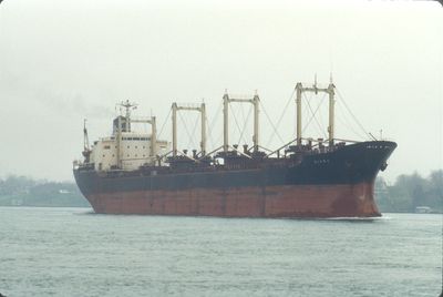 ACER ENTERPRISES (1971, Bulk Freighter)