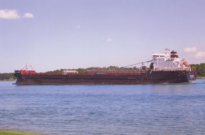 ALGOMA MARINER (2008, Bulk Freighter)