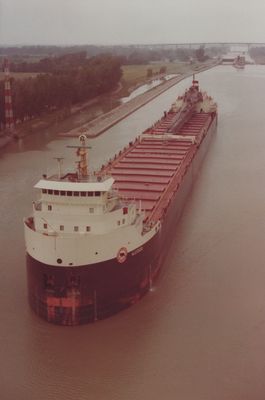 ALGOSOO (1974, Bulk Freighter)