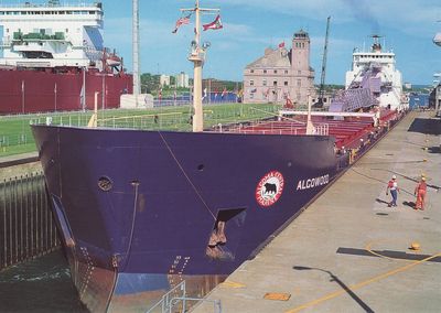 ALGOWOOD (1980, Bulk Freighter)