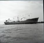 ALKA (1966, Ocean Freighter)