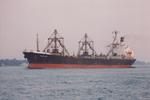 AL SADIQ (1976, Ocean Freighter)