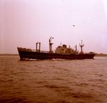 ARALUEN (1958, Ocean Freighter)
