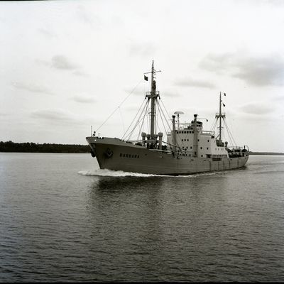 BARBARA (1953, Ocean Freighter)