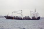 BELUGA FORTIFICATION (2007, Ocean Freighter)