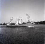 ERIKA BISCHOFF (1957, Ocean Freighter)