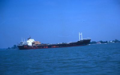 BLUEBIRD (1961, Ocean Freighter)