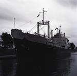 PHYLLIS BOWATER (1960, Ocean Freighter)