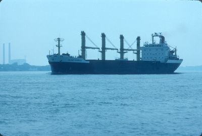 CALLIROE PATRONICOLA (1985, Ocean Freighter)