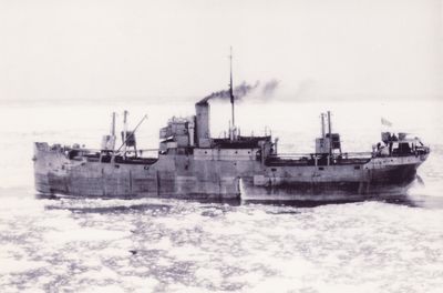 CANADIAN HARVESTER (1920, Ocean Freighter)