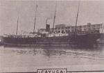 CAYUGA (1889, Package Freighter)