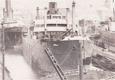 CAYUGA (1920, Package Freighter)