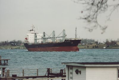 CINCHONA (1986, Ocean Freighter)