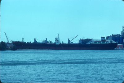 CORONA AUSTRALE (1959, Bulk Freighter)