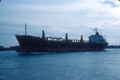 CUNARD CARRONADE (1972, Bulk Freighter)