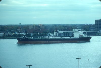 DANILOVGRAD (1974, Bulk Freighter)