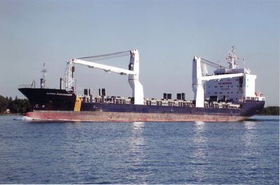 SEDNA DESGAGNES (2009, Package Freighter)