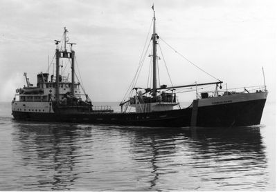 DUNNET HEAD (1956, Ocean Freighter)