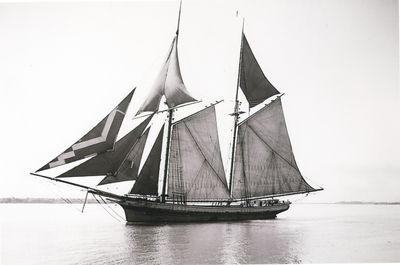 J. DUVALL (1874, Schooner)