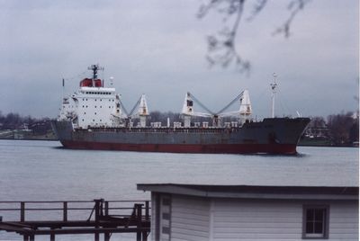 ERIKOUSA WAVE (1986, Bulk Freighter)