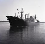 EVINA (1963, Ocean Freighter)