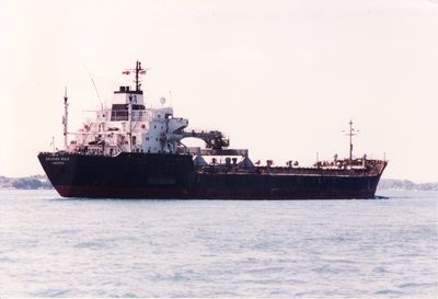 EXPORTAZUL (1978, Bulk Freighter)