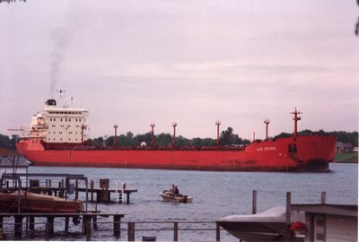 FEDERAL DANUBE (1980, Bulk Freighter)