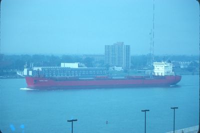 FEDERAL RHINE (1977, Bulk Freighter)