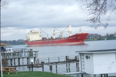 FEDERAL SAGUENAY (1996, Bulk Freighter)