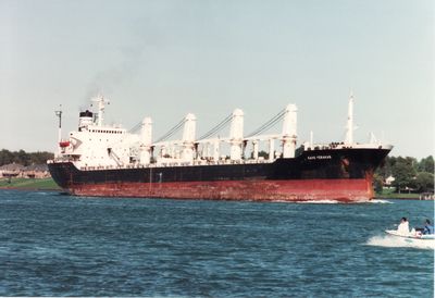GEMA PHOSPHATE (1981, Ocean Freighter)