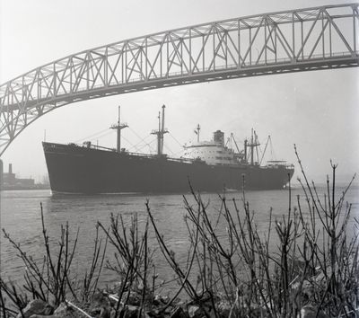 HASTINGS (1944, Ocean Freighter)