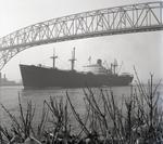 HASTINGS (1944, Ocean Freighter)