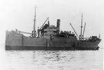 LAKE SAPOR (1919, Package Freighter)
