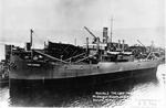 LAKE TRAVERSE (1918, Package Freighter)
