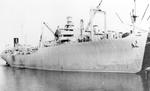 MARINE ROBIN (1944, Package Freighter)