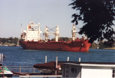 MARITIME ALLIANCE (1978, Bulk Freighter)