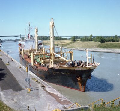 MARITIME HIBISCUS (1975, Ocean Freighter)