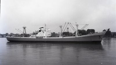 NATKO NODILO (1960, Ocean Freighter)