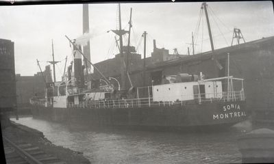 NIDARNES (1926, Bulk Freighter)