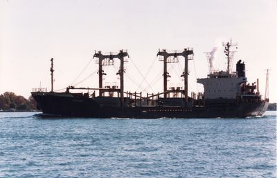 NO. 3 HO MING (1981, Ocean Freighter)
