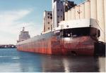 PATERSON (1985, Bulk Freighter)