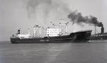 POLARGLIMT (1958, Ocean Freighter)