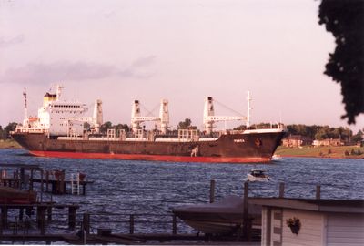 PUNICA (1983, Ocean Freighter)