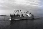 BIRGIT RAGNE (1961, Ocean Freighter)