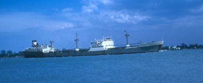 REGENT SPRINGBOK (1951, Ocean Freighter)