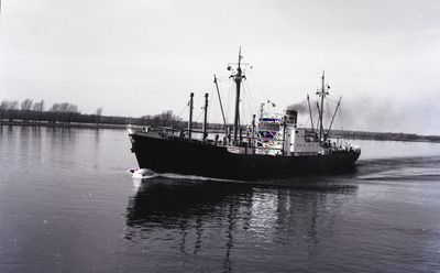 RHEINSTEIN (1951, Ocean Freighter)