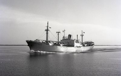 ROTTE (1960, Ocean Freighter)