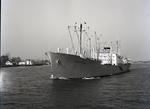 SIBONEY (1953, Ocean Freighter)