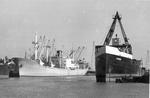 SIMARA (1956, Ocean Freighter)